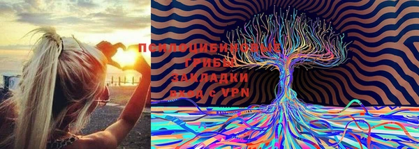 МДПВ Алзамай